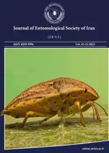 مطالعه مولکولی پسیل های زبان گنجشک، (Psyllopsis (Hemiptera: Liviidae و باکتری Wolbachia همزیست داخلی آن ها