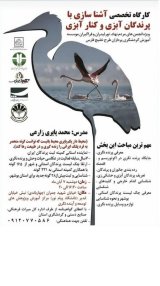 کارگاه تخصصی آشناسازی با پرندگان آبزی و کنار آبزی