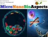 Synergistic combinations of metal, metal oxide, or metalloid nanoparticles plus antibiotics against resistant and non-resistant bacteria