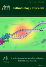 Bioinformatic Evaluations for Locating the microRNA Suppressing PI۳K/AKT Pathway and Analysis in Prostate Cancer Cell Lines