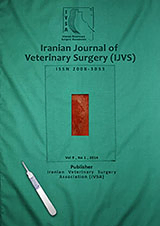 Three-dimensional Volumetric Ultrasonography of Enlarged Adrenal Gland in Dog