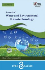 Highly efficient scavenging of nitrophenol, arsenic (V), copper (II), dibenzothiphene, and carbazole by nanoporous silica/carbon adsorbents for remediation of oil and water pollutants