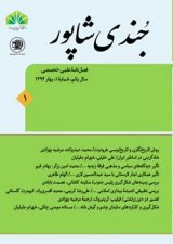 ازدواج، ثروت، و تغییر دین در میان زردشتیان: از اواخر دورهٔ ساسانی تا ایران اسلامی