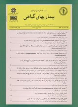 آلودگی طبیعی نسرین )hybridum Hippeastrum )به ویروس کلروز فلفل و ویروس لکه زرد زنبق در ایران