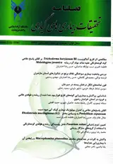 اثر رقم و تناوب زراعی بر بیماری ریشه سرخی پیاز در اصفهان