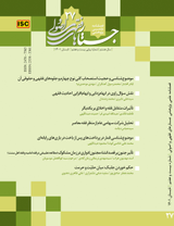 ملاک های معاوضه سفهی و بروز آن در استخراج رمز ارزها با تاکید بر مبانی امام خمینی(ره)