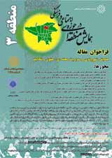 آسیب شناسی دستورالعمل و شیوه نامه اجرایی محلات تهران بر اساس اصول ساختار سازمانی ومدیریت شهری