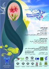 سیاستها و راهبردهای حکومت اسلامی در ترویج فرهنگ عفاف و حجاب