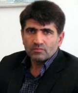 محمد رضا رضوی