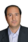 علی میرمحمدی