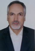 محمدرضا پیرهادی