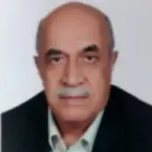 محمدرضا کرمی پور