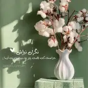 فاطمه صادق پور